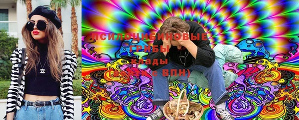 mdpv Бородино