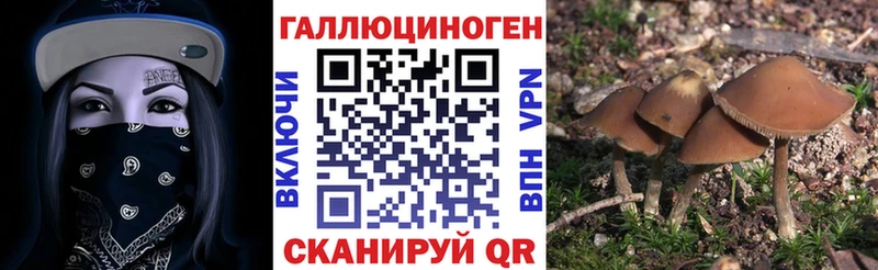 Псилоцибиновые грибы Magic Shrooms  где продают наркотики  Дигора 